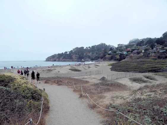 Muir Beach