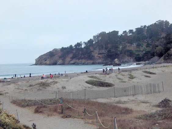 Muir Beach