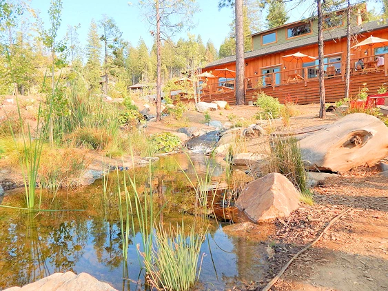 Visit Yosemite and Experience Rustic Luxury at Rush Creek Lodge