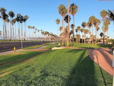 Hilton Beachfront Resort Front Lawn