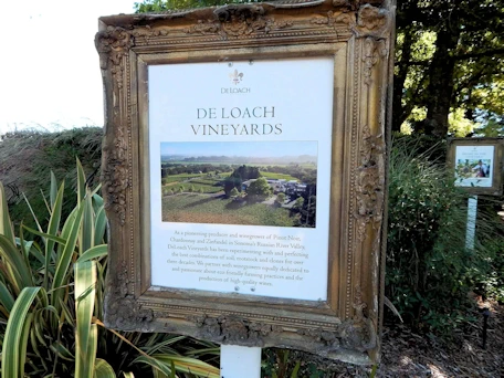 Santa Rosa: Deloach Vineyards Marker