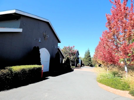 Santa Rosa: Deloach Vineyards Tasting Room Parking