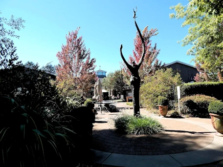 Santa Rosa: Deloach Vineyards Grounds