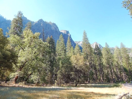 Yosemite National Park: Route 120 merges with Big Oak Flag Road