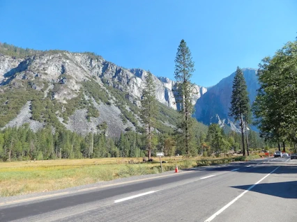 Yosemite National Park: Big Oak Flat Road to Curry Village