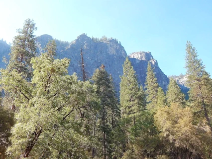 Yosemite National Park: First View of El Capitan