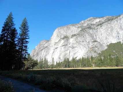 Yosemite National Park: Granite Rock