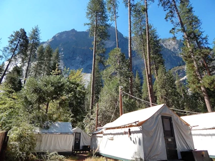 Yosemite National Park: Curry Village Campground Area