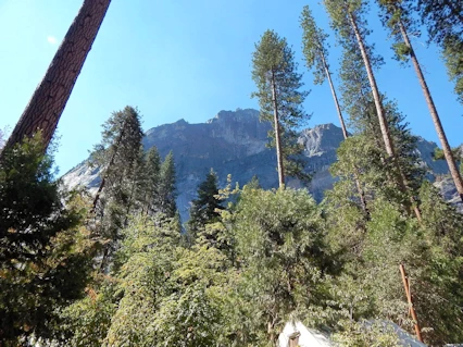 Yosemite National Park: Columbia Rock from Curry Village