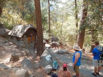 Yosemite National Park: Vernal Fall Footbridge Area