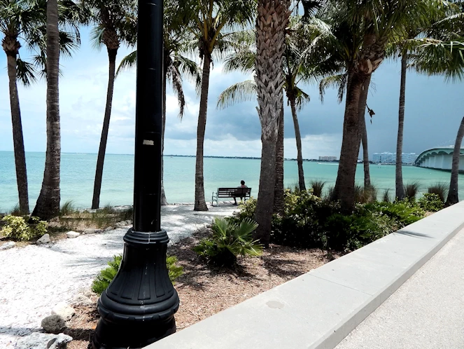 Relaxation Oasis - Explore Bird Key Park's Trails & Scenic Beauty