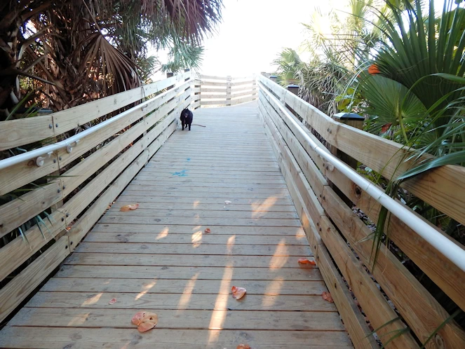 Wooden Stairs to Beach Area