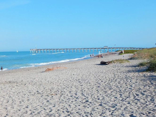 Dog Beach Area