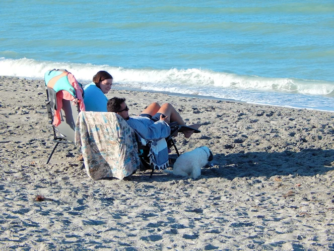 Dog Beach Area
