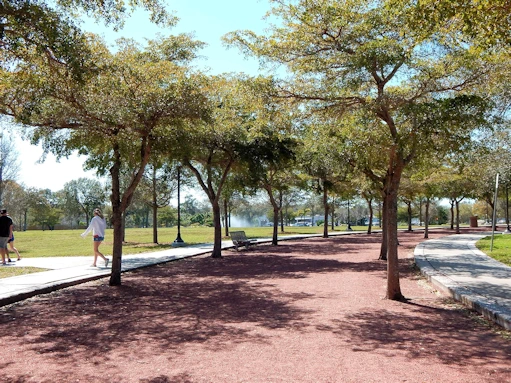 Jogging/Walking Track