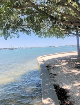 Relaxation & Recreation - Explore Sarasota's Bayfront Park