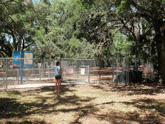 Puppy Playtime in Sarasota - Unleash Your Pup at Lakeview Dog Park
