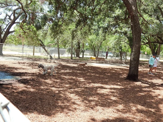 Puppy Playtime in Sarasota - Unleash Your Pup at Lakeview Dog Park