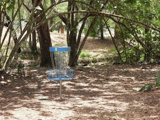 Puppy Playtime in Sarasota - Unleash Your Pup at Lakeview Dog Park