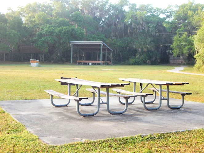 Myakka State Park Image Gallery
