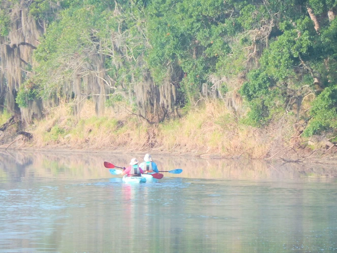 Park Kayakers