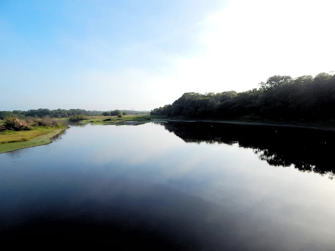 Myakka State Park Image Gallery