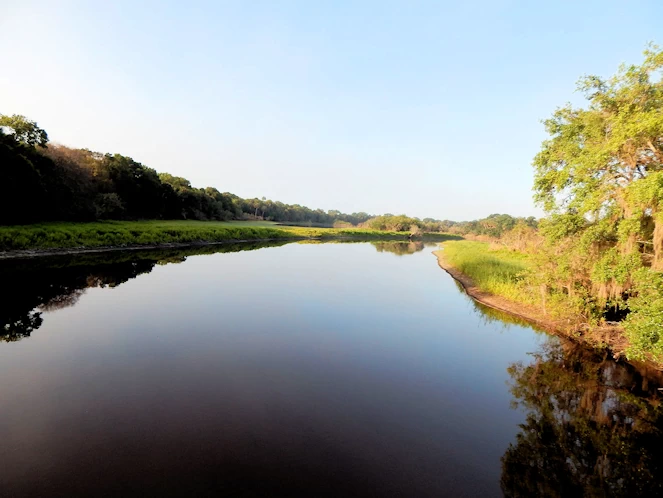 Explore Airboat Tours, Alligators & Nature Trails