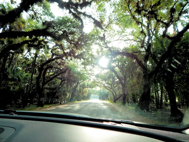 Myakka State Park Image Gallery