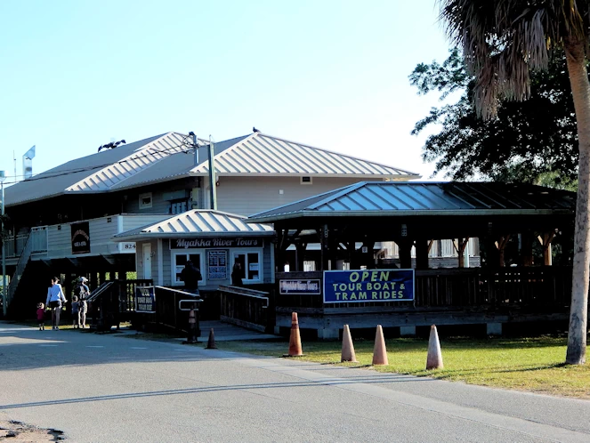 Explore Airboat Tours, Alligators & Nature Trails