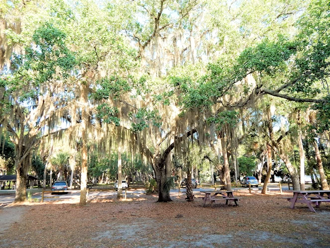 Myakka State Park Image Gallery