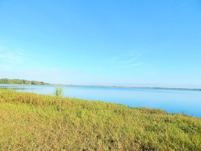 Myakka State Park Image Gallery