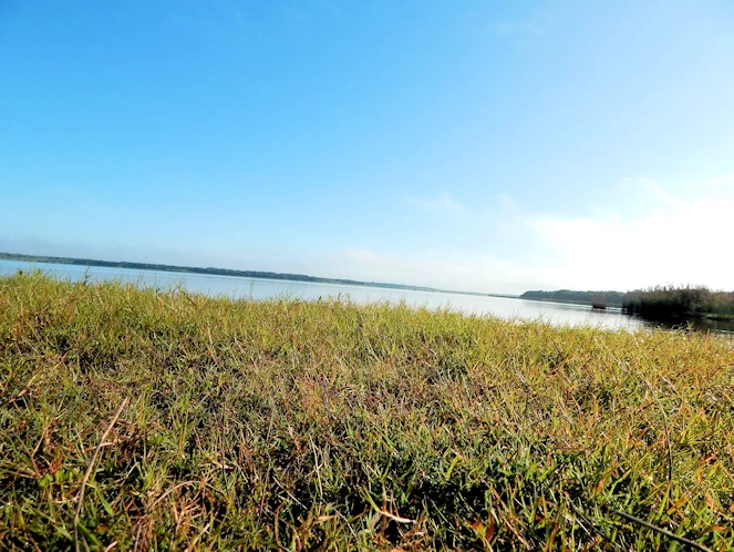 Myakka State Park Image Gallery