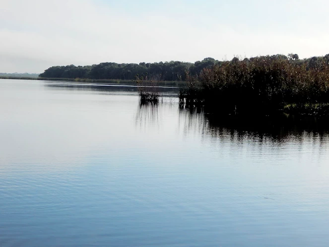 Myakka State Park Image Gallery