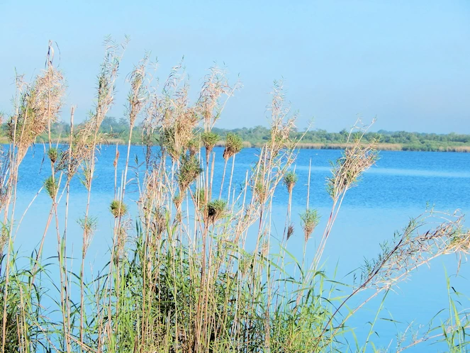 Myakka State Park Image Gallery