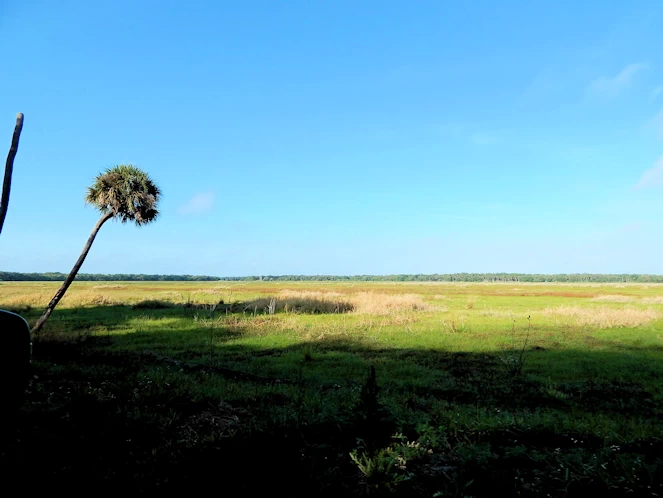 Myakka State Park Image Gallery