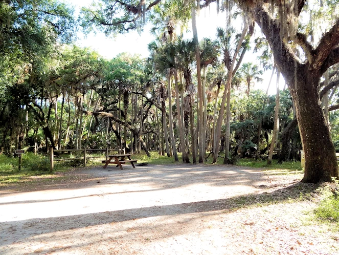 Myakka State Park Image Gallery