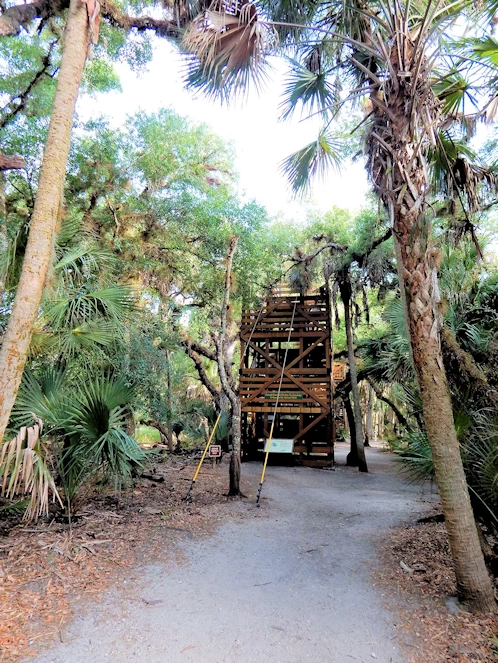 Myakka State Park Image Gallery
