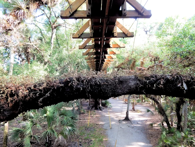 Myakka State Park Image Gallery