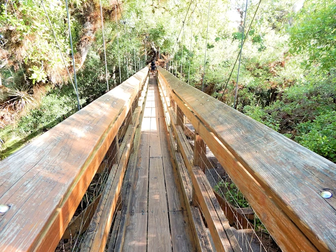 Myakka State Park Image Gallery