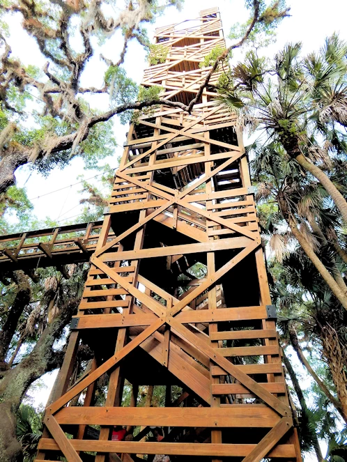 Myakka State Park Image Gallery
