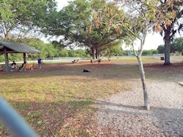 Pawsome Playtime - Sarasota Unleashed at 17th Street Dog Park