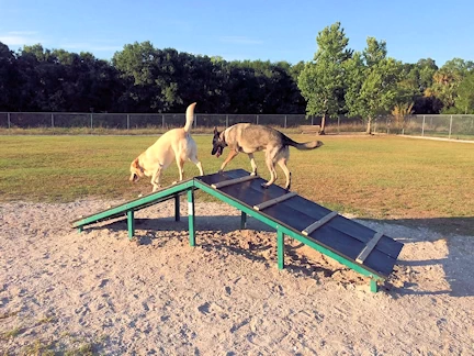 Pawsome Playtime - Sarasota Unleashed at 17th Street Dog Park