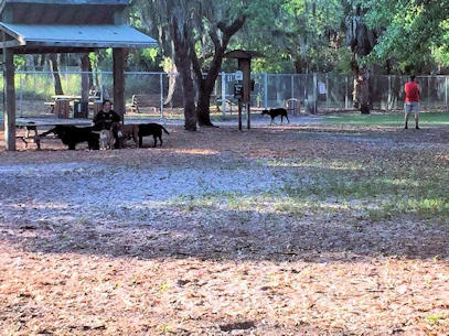 A visit to Woodmere Park.