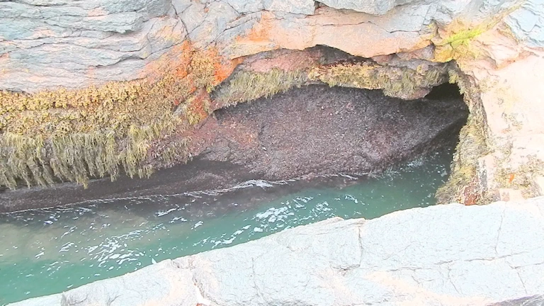 Thunder Hole Cave