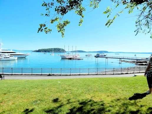 Frenchman Bay