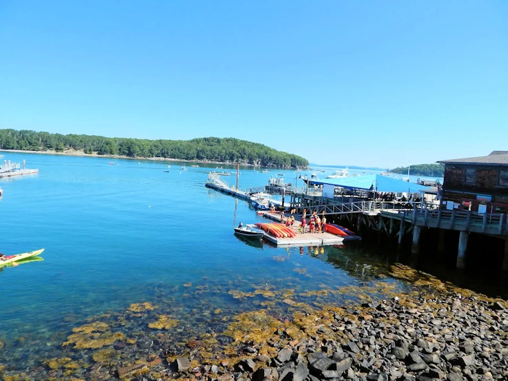 Must-See Carriage Roads, Bar Harbor & Wildlife