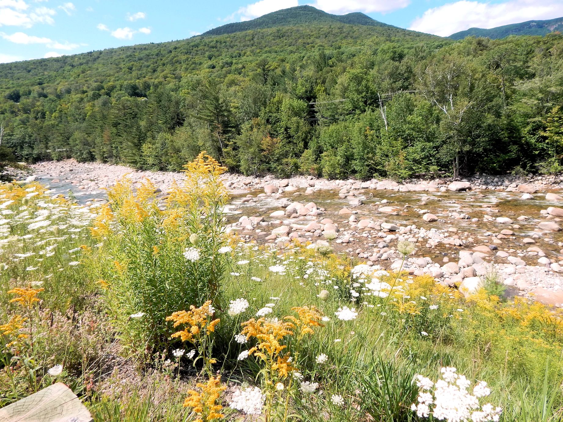 Must-See Stops on a New England Scenic Drive