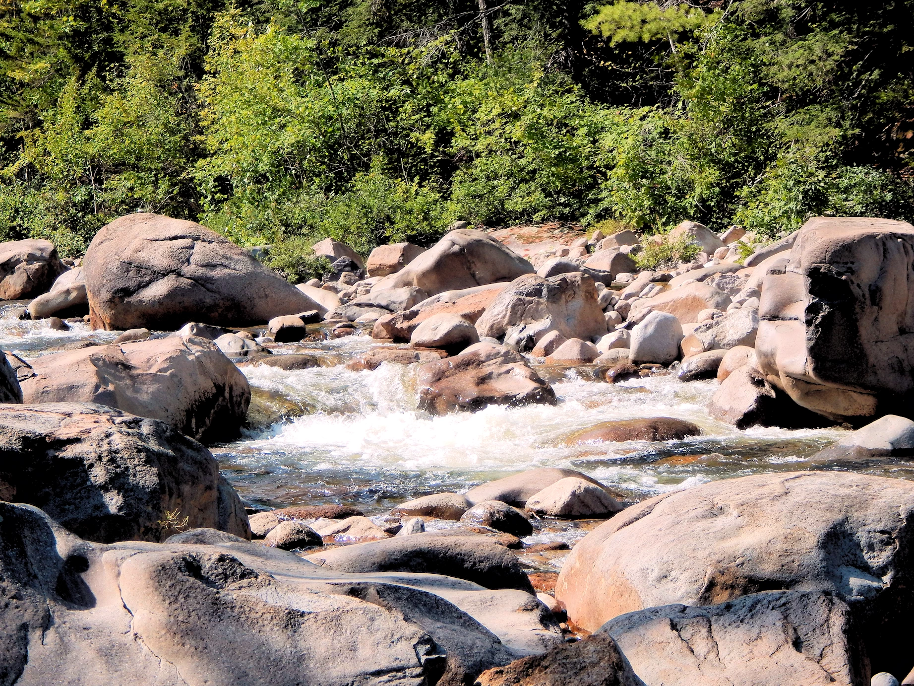 Swift River