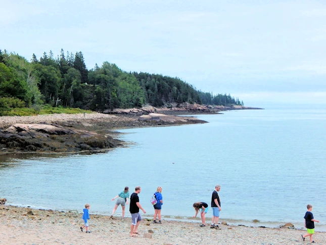 Sand Beach looking across Newport Cove at Great Head.