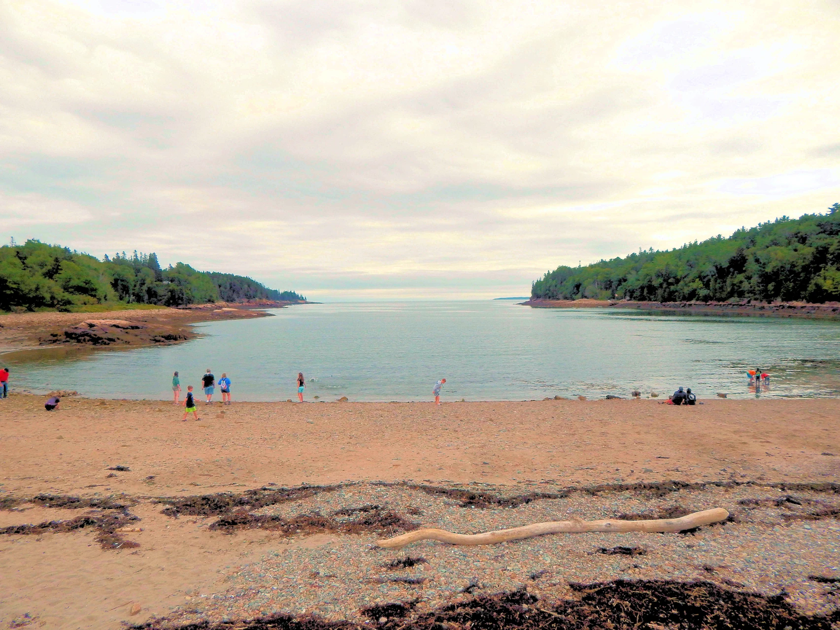 Otter Creek Cove - Acadia National Park.